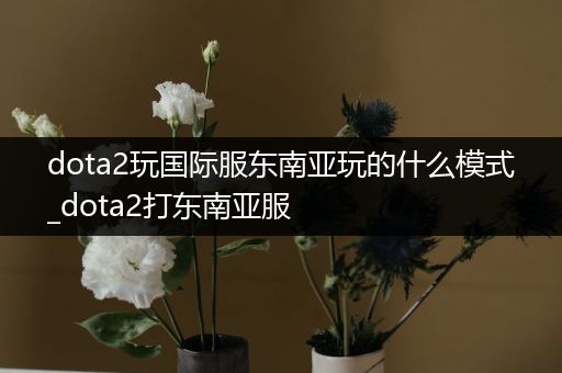 dota2玩国际服东南亚玩的什么模式_dota2打东南亚服