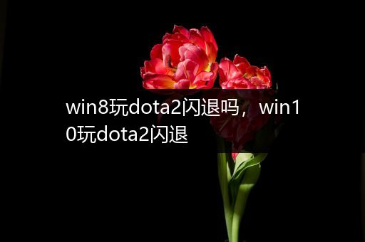 win8玩dota2闪退吗，win10玩dota2闪退