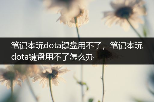 笔记本玩dota键盘用不了，笔记本玩dota键盘用不了怎么办