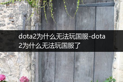 dota2为什么无法玩国服-dota2为什么无法玩国服了