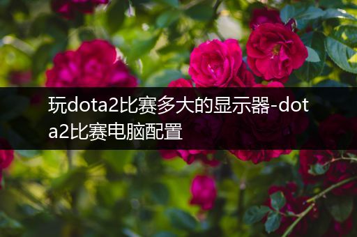 玩dota2比赛多大的显示器-dota2比赛电脑配置
