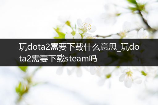 玩dota2需要下载什么意思_玩dota2需要下载steam吗