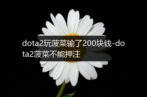 dota2玩菠菜输了200块钱-dota2菠菜不能押注