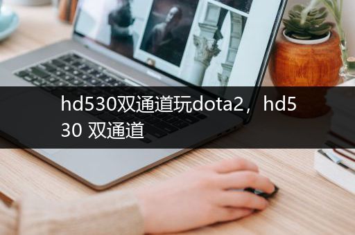 hd530双通道玩dota2，hd530 双通道