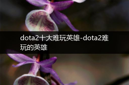 dota2十大难玩英雄-dota2难玩的英雄
