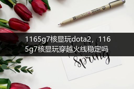 1165g7核显玩dota2，1165g7核显玩穿越火线稳定吗