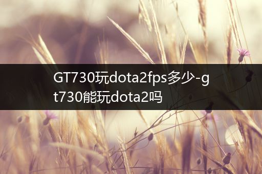 GT730玩dota2fps多少-gt730能玩dota2吗