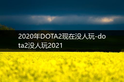 2020年DOTA2现在没人玩-dota2没人玩2021