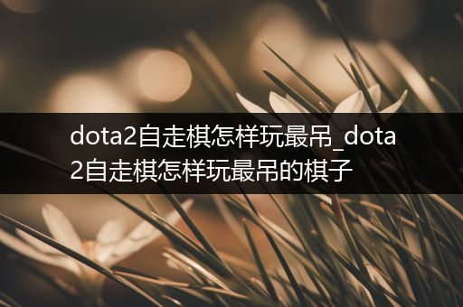 dota2自走棋怎样玩最吊_dota2自走棋怎样玩最吊的棋子