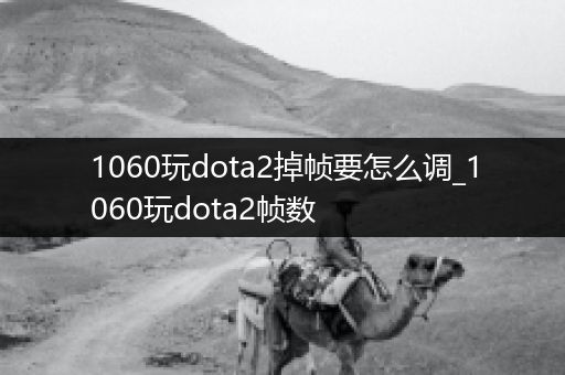 1060玩dota2掉帧要怎么调_1060玩dota2帧数