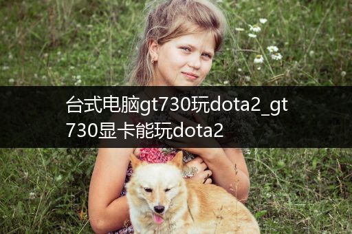 台式电脑gt730玩dota2_gt730显卡能玩dota2