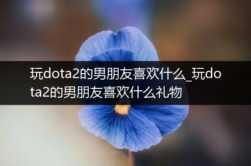 玩dota2的男朋友喜欢什么_玩dota2的男朋友喜欢什么礼物