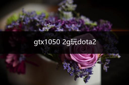 gtx1050 2g玩dota2