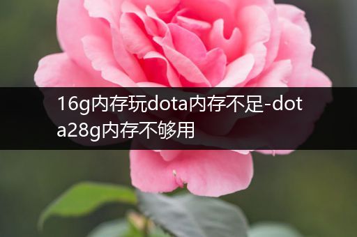 16g内存玩dota内存不足-dota28g内存不够用