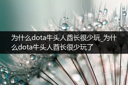 为什么dota牛头人酋长很少玩_为什么dota牛头人酋长很少玩了