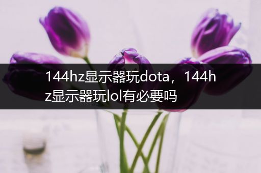 144hz显示器玩dota，144hz显示器玩lol有必要吗