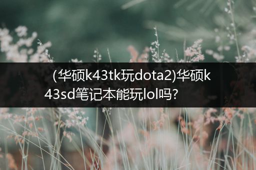 （华硕k43tk玩dota2)华硕k43sd笔记本能玩lol吗?