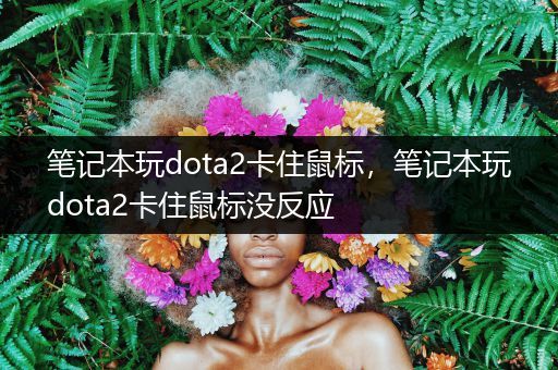 笔记本玩dota2卡住鼠标，笔记本玩dota2卡住鼠标没反应