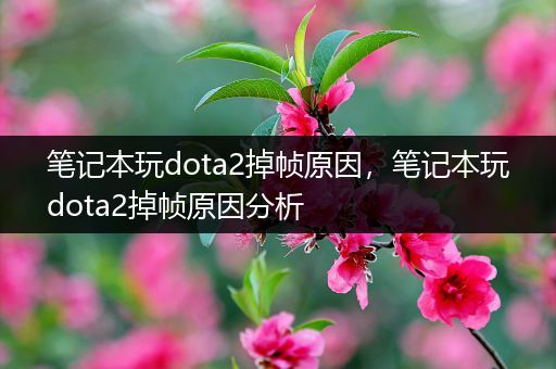 笔记本玩dota2掉帧原因，笔记本玩dota2掉帧原因分析