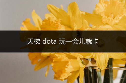 天梯 dota 玩一会儿就卡