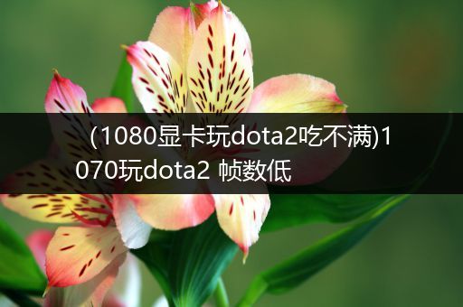 （1080显卡玩dota2吃不满)1070玩dota2 帧数低