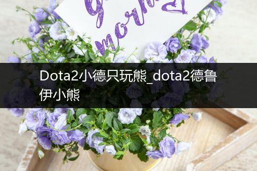 Dota2小德只玩熊_dota2德鲁伊小熊