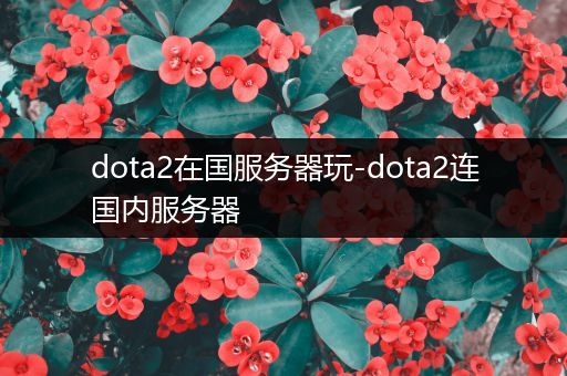 dota2在国服务器玩-dota2连国内服务器