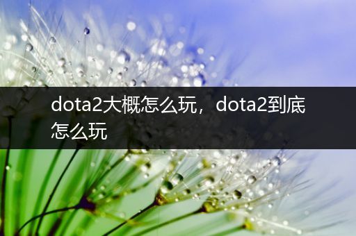 dota2大概怎么玩，dota2到底怎么玩