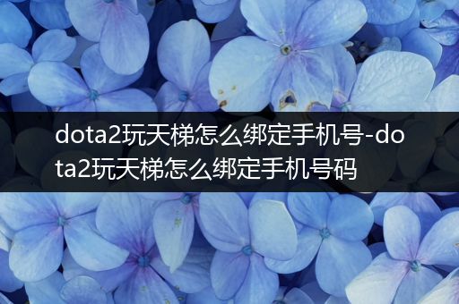 dota2玩天梯怎么绑定手机号-dota2玩天梯怎么绑定手机号码