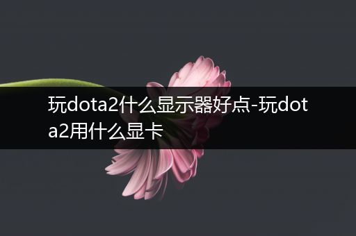 玩dota2什么显示器好点-玩dota2用什么显卡