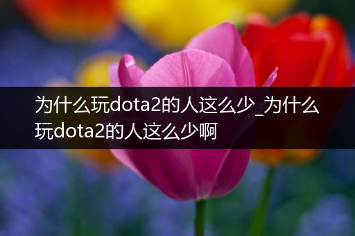 为什么玩dota2的人这么少_为什么玩dota2的人这么少啊