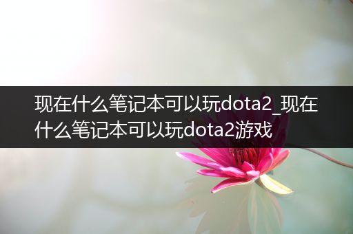 现在什么笔记本可以玩dota2_现在什么笔记本可以玩dota2游戏
