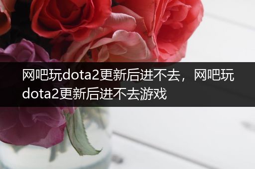 网吧玩dota2更新后进不去，网吧玩dota2更新后进不去游戏
