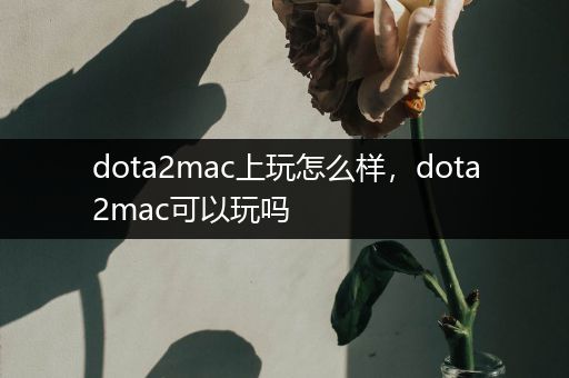 dota2mac上玩怎么样，dota2mac可以玩吗