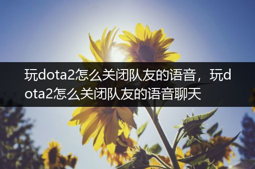玩dota2怎么关闭队友的语音，玩dota2怎么关闭队友的语音聊天