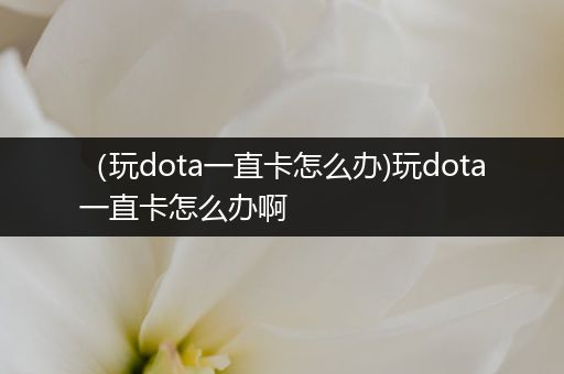 （玩dota一直卡怎么办)玩dota一直卡怎么办啊