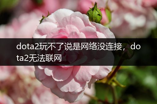 dota2玩不了说是网络没连接，dota2无法联网