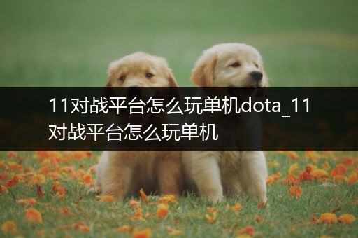 11对战平台怎么玩单机dota_11对战平台怎么玩单机