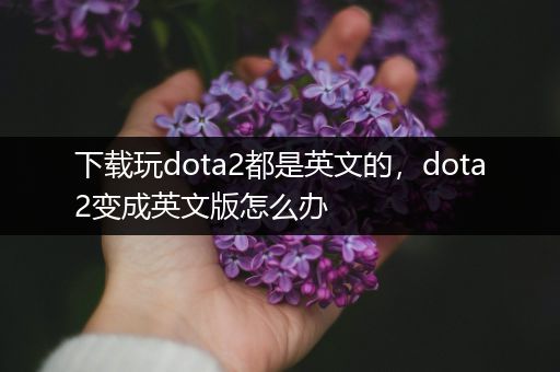 下载玩dota2都是英文的，dota2变成英文版怎么办