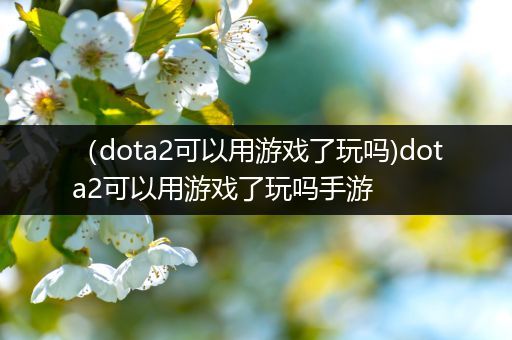 （dota2可以用游戏了玩吗)dota2可以用游戏了玩吗手游