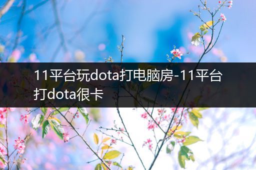 11平台玩dota打电脑房-11平台打dota很卡