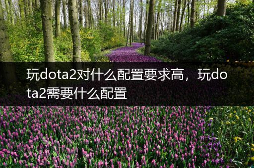 玩dota2对什么配置要求高，玩dota2需要什么配置