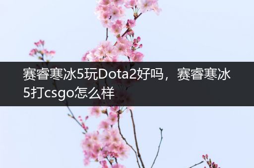 赛睿寒冰5玩Dota2好吗，赛睿寒冰5打csgo怎么样