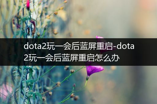 dota2玩一会后蓝屏重启-dota2玩一会后蓝屏重启怎么办