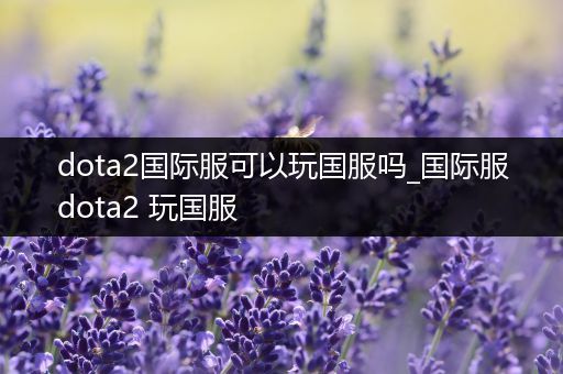 dota2国际服可以玩国服吗_国际服dota2 玩国服