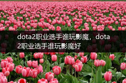 dota2职业选手谁玩影魔，dota2职业选手谁玩影魔好