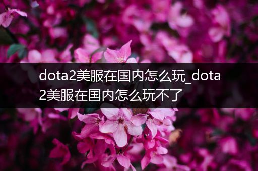 dota2美服在国内怎么玩_dota2美服在国内怎么玩不了