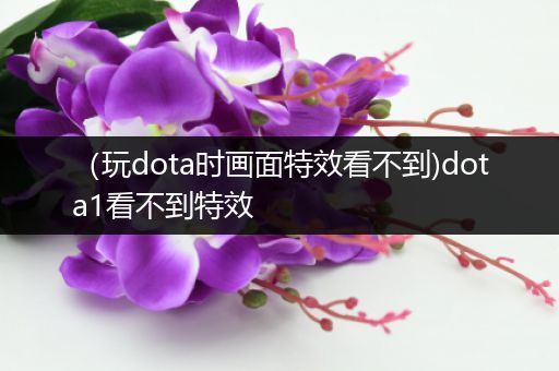 （玩dota时画面特效看不到)dota1看不到特效