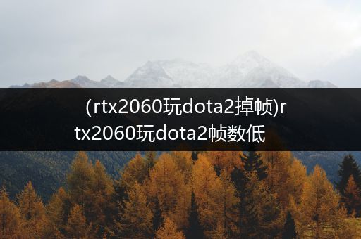 （rtx2060玩dota2掉帧)rtx2060玩dota2帧数低