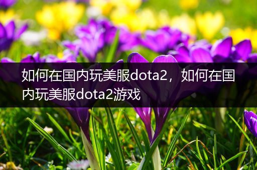 如何在国内玩美服dota2，如何在国内玩美服dota2游戏